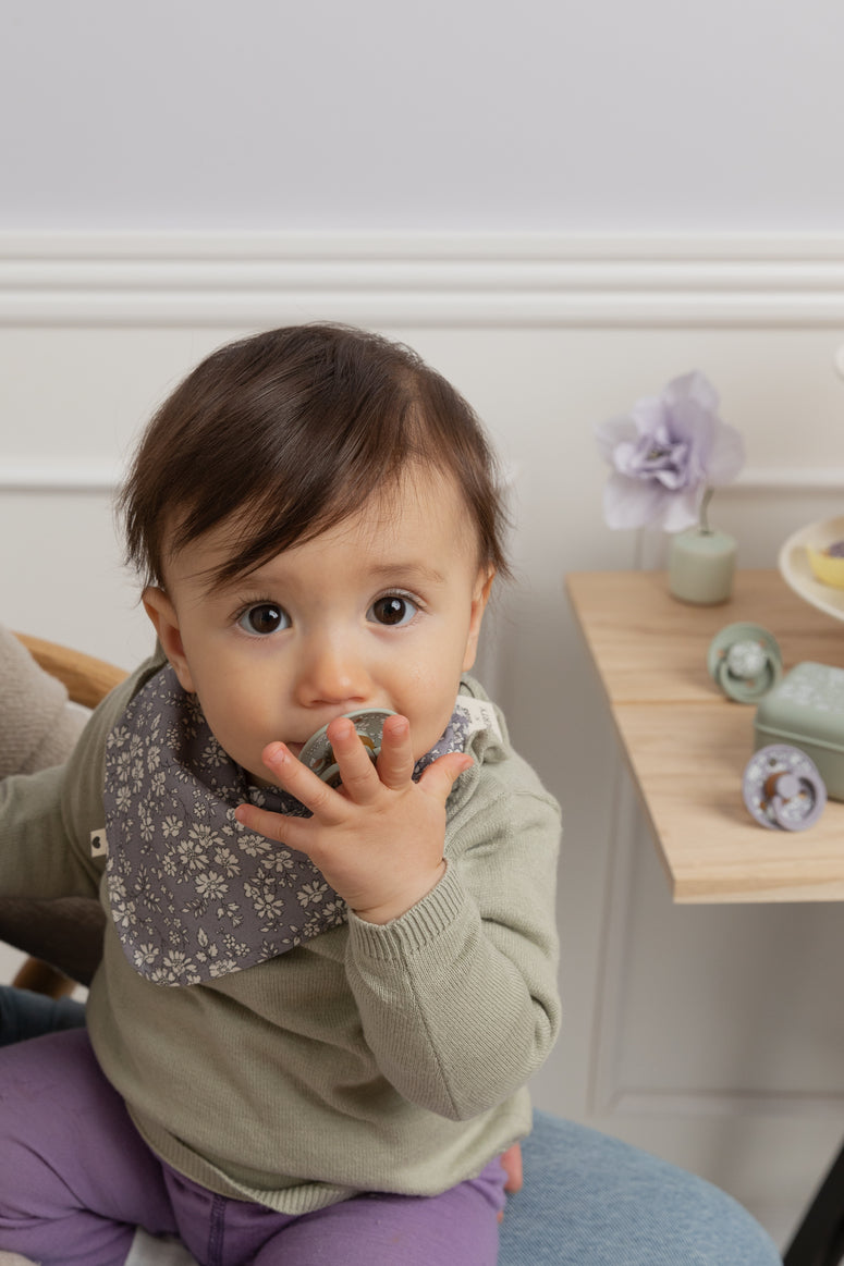 BIBS čiulptukų rinkinys 1 dydis (0 - 6 mėn.) Liberty Chamomile Lawn Baby Blue Mix