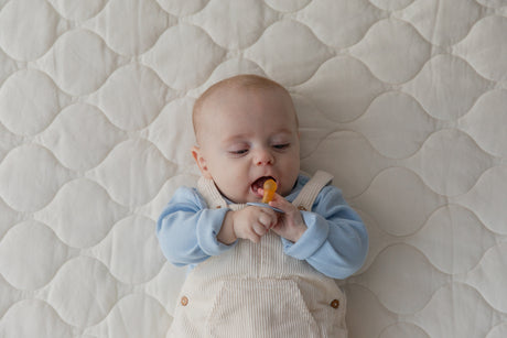 BIBS knupīša komplekts 1. izmērs (0 - 6 mēneši) Liberty Eloise Dusty Blue Mix 