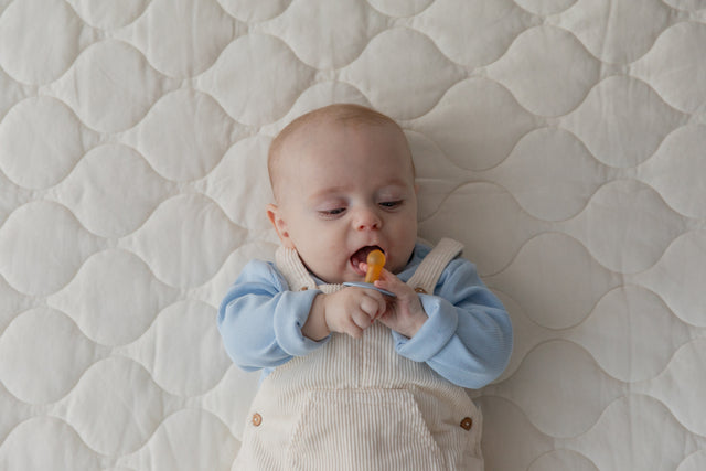 BIBS čiulptukų rinkinys 1 dydis (0 - 6 mėn.) Liberty Eloise Dusty Blue Mix