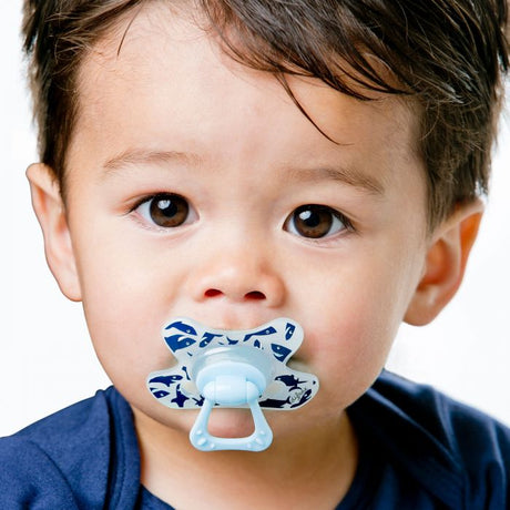 Difrax ortodontinis čiulptukas kūdikiams nuo 18 mėn. / Dental (daug spalvų) (2181748195401)